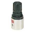 Watts R374-02CG Mini-Pressure Regulator 1/4" 0-125 PSI with Gauge