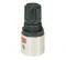 Watts R364-BPSS Mini-Pressure Regulator 1/4" 0-60 PSI