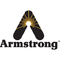 Armstrong International D556936 Replacement Body