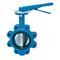 Watts 0525705 Full Lug Butterfly Valve 12" BF03-121-1G-M2